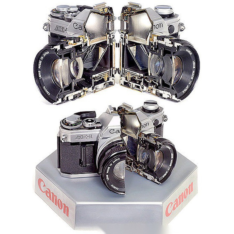 Canon AE-1 Cutaway
