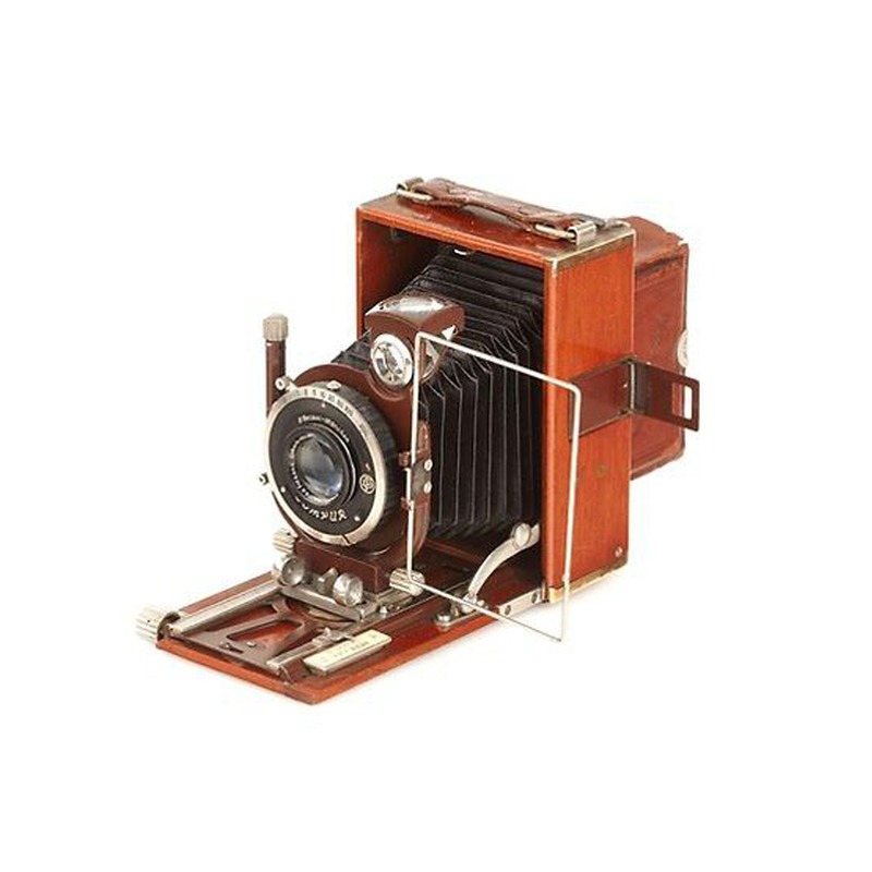 Konica Tropical Lily