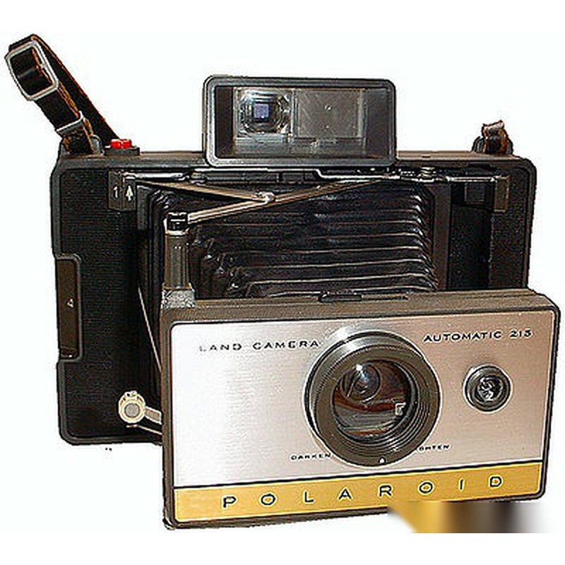 Polaroid 215