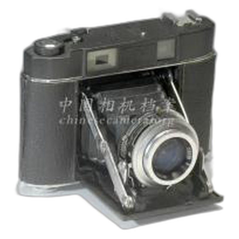 Seagull 海鸥 203-H