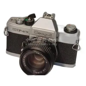 Seagull 海鸥 DF-1 ETM Type I